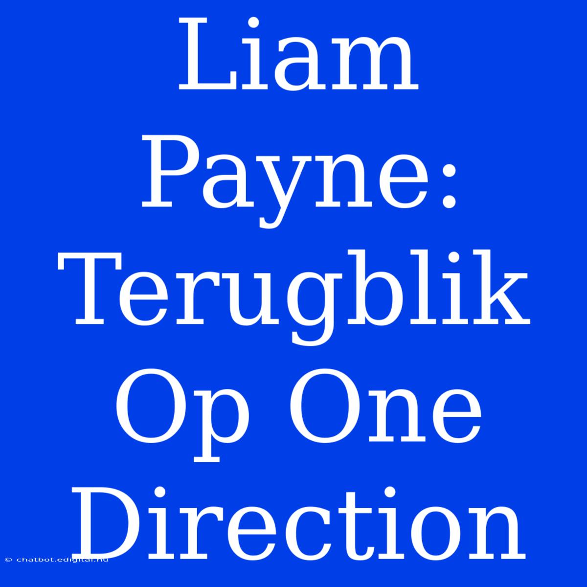 Liam Payne: Terugblik Op One Direction