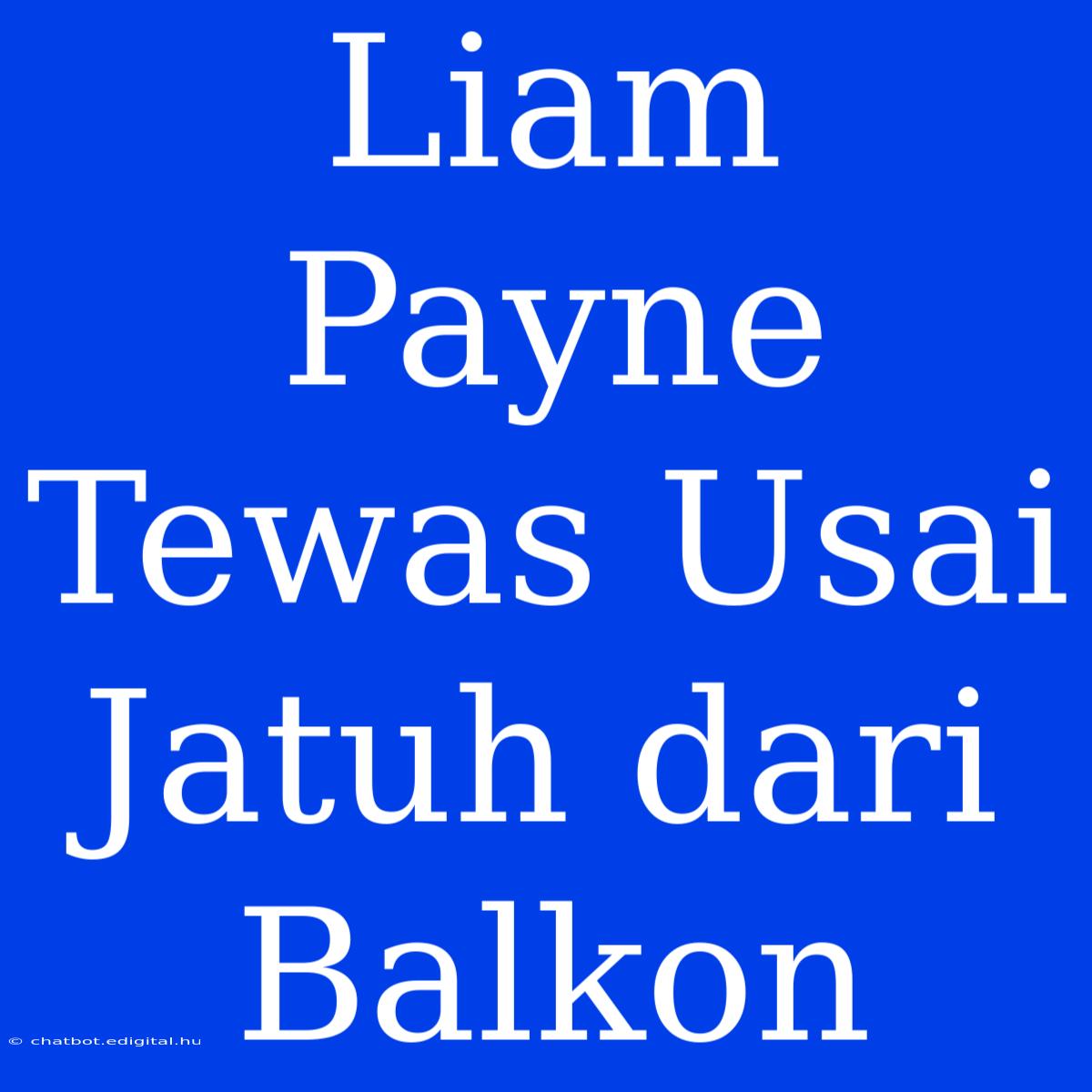 Liam Payne Tewas Usai Jatuh Dari Balkon