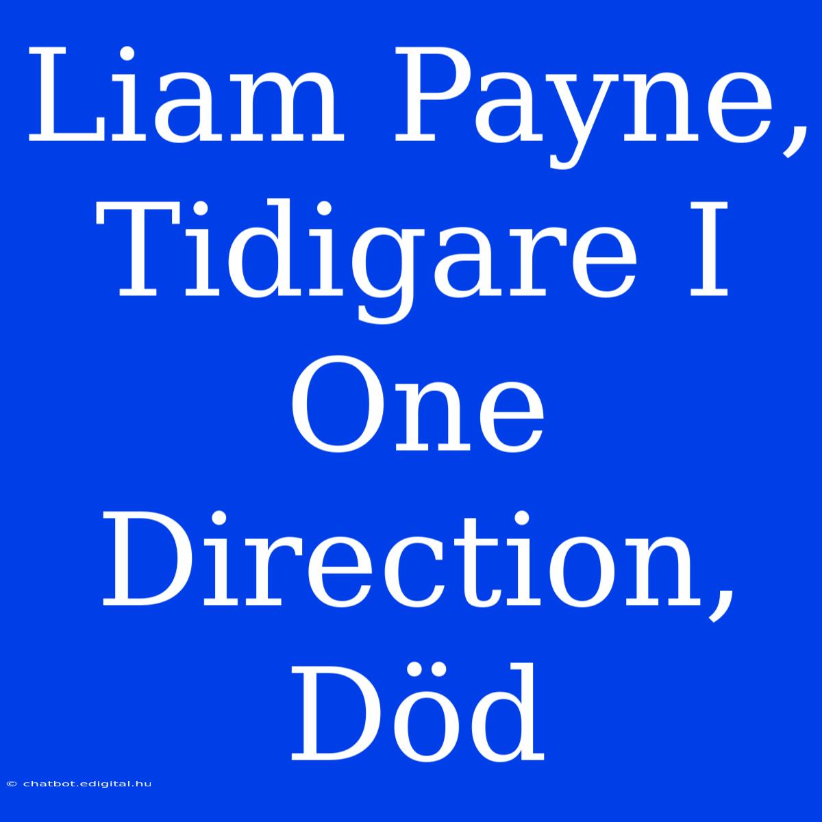 Liam Payne, Tidigare I One Direction, Död