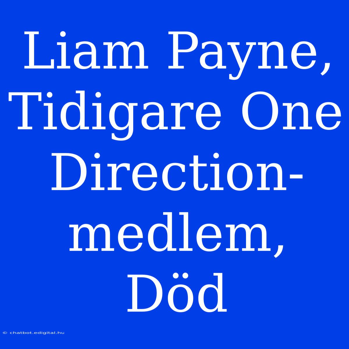 Liam Payne, Tidigare One Direction-medlem, Död