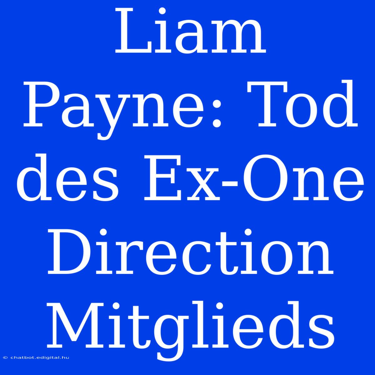 Liam Payne: Tod Des Ex-One Direction Mitglieds