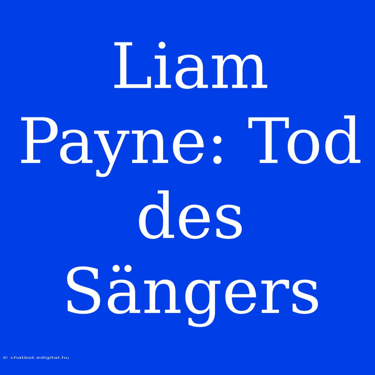 Liam Payne: Tod Des Sängers 