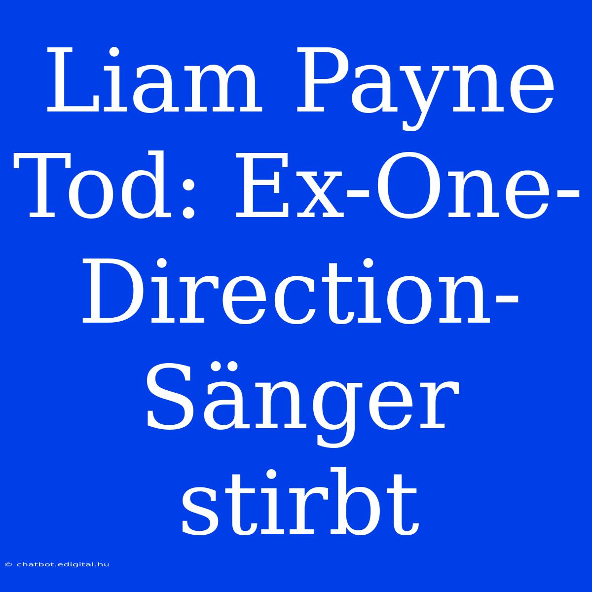 Liam Payne Tod: Ex-One-Direction-Sänger Stirbt