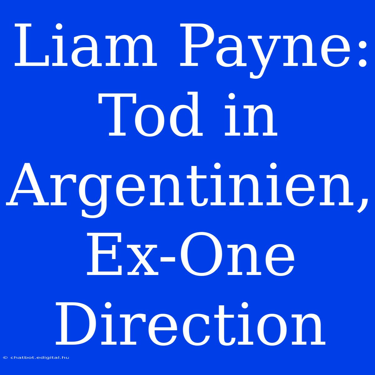 Liam Payne: Tod In Argentinien, Ex-One Direction