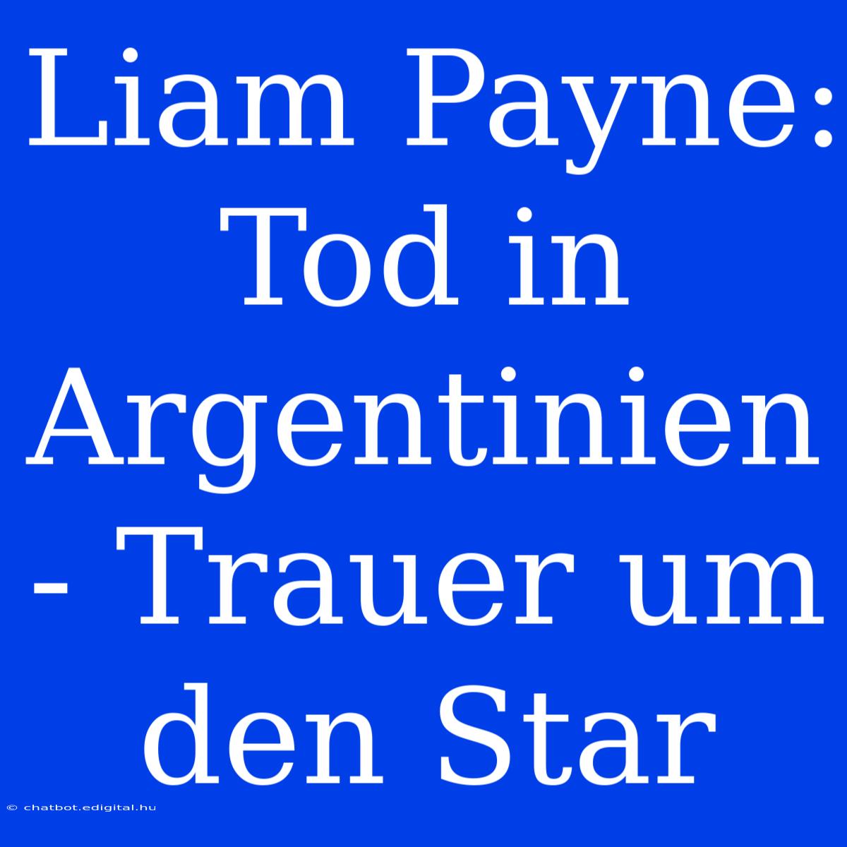 Liam Payne: Tod In Argentinien - Trauer Um Den Star 