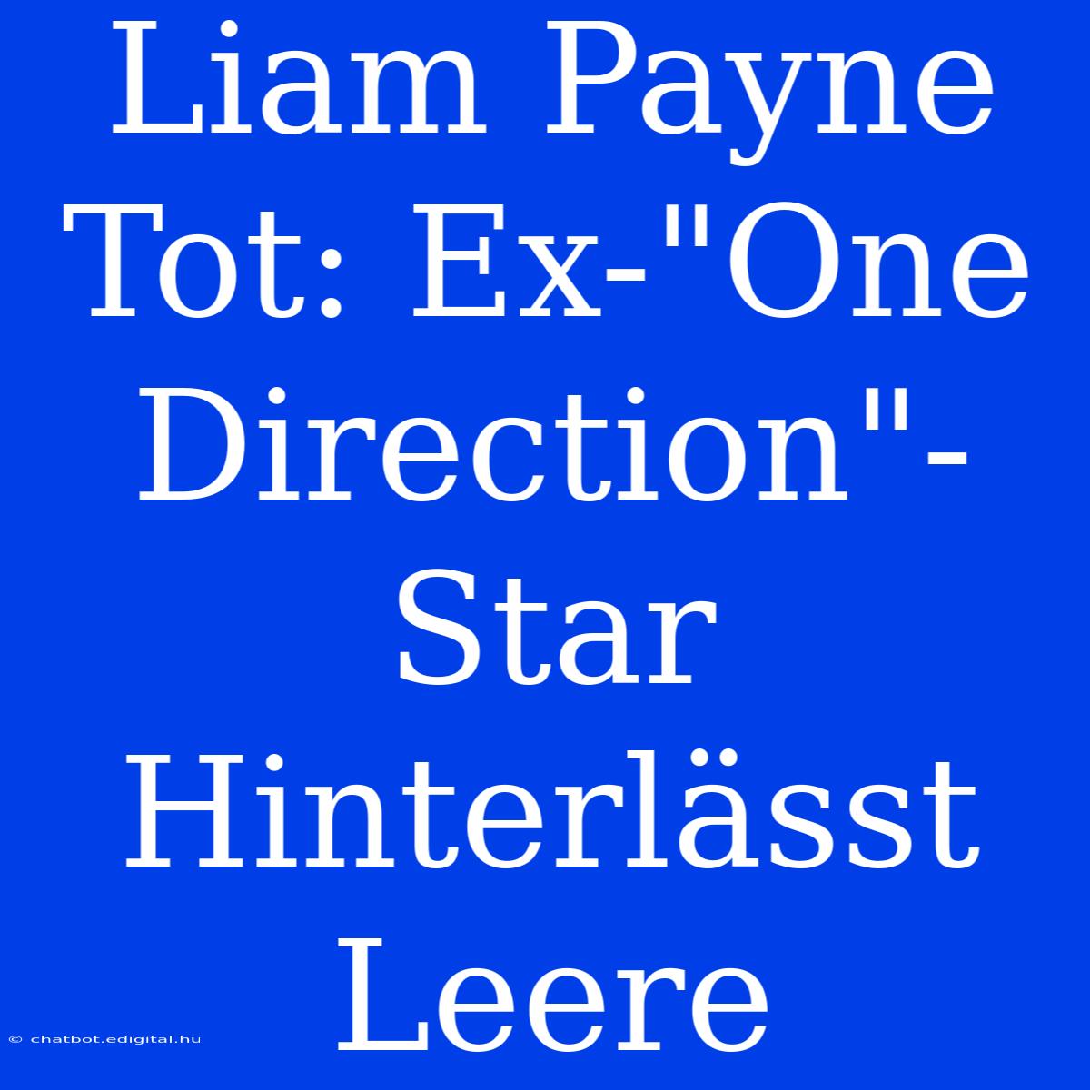 Liam Payne Tot: Ex-