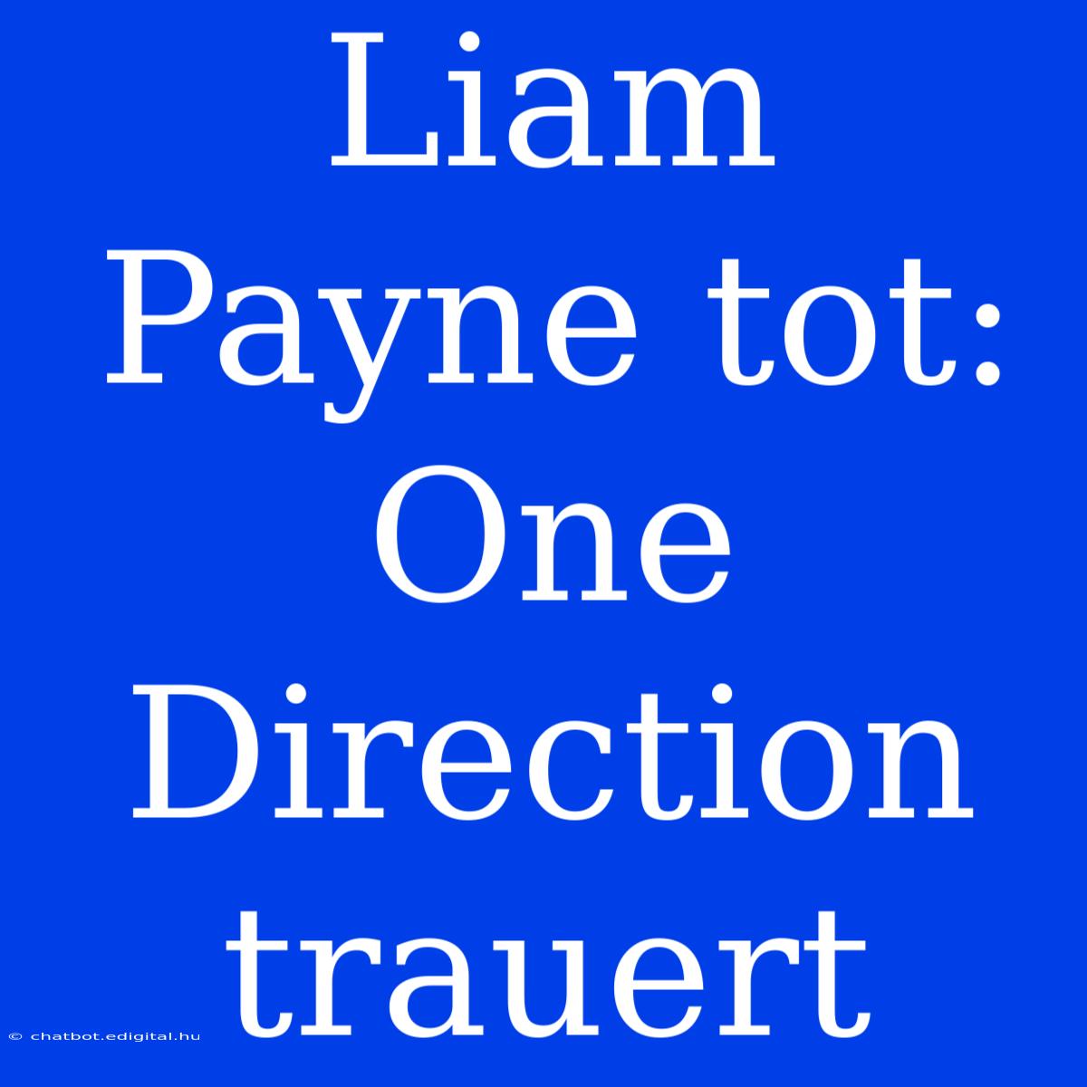 Liam Payne Tot: One Direction Trauert