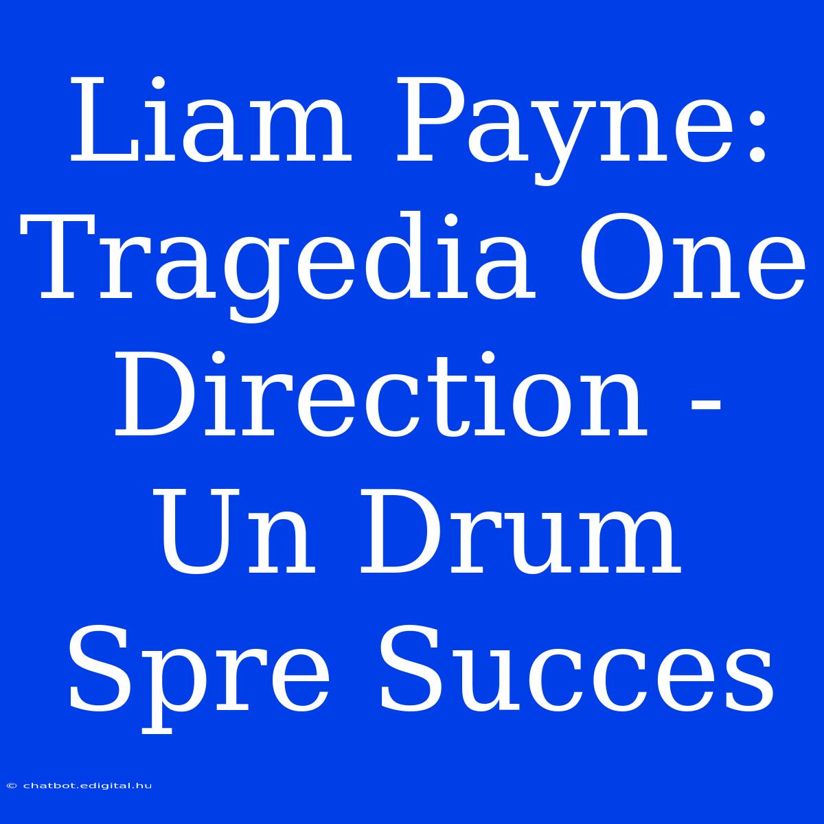 Liam Payne: Tragedia One Direction - Un Drum Spre Succes