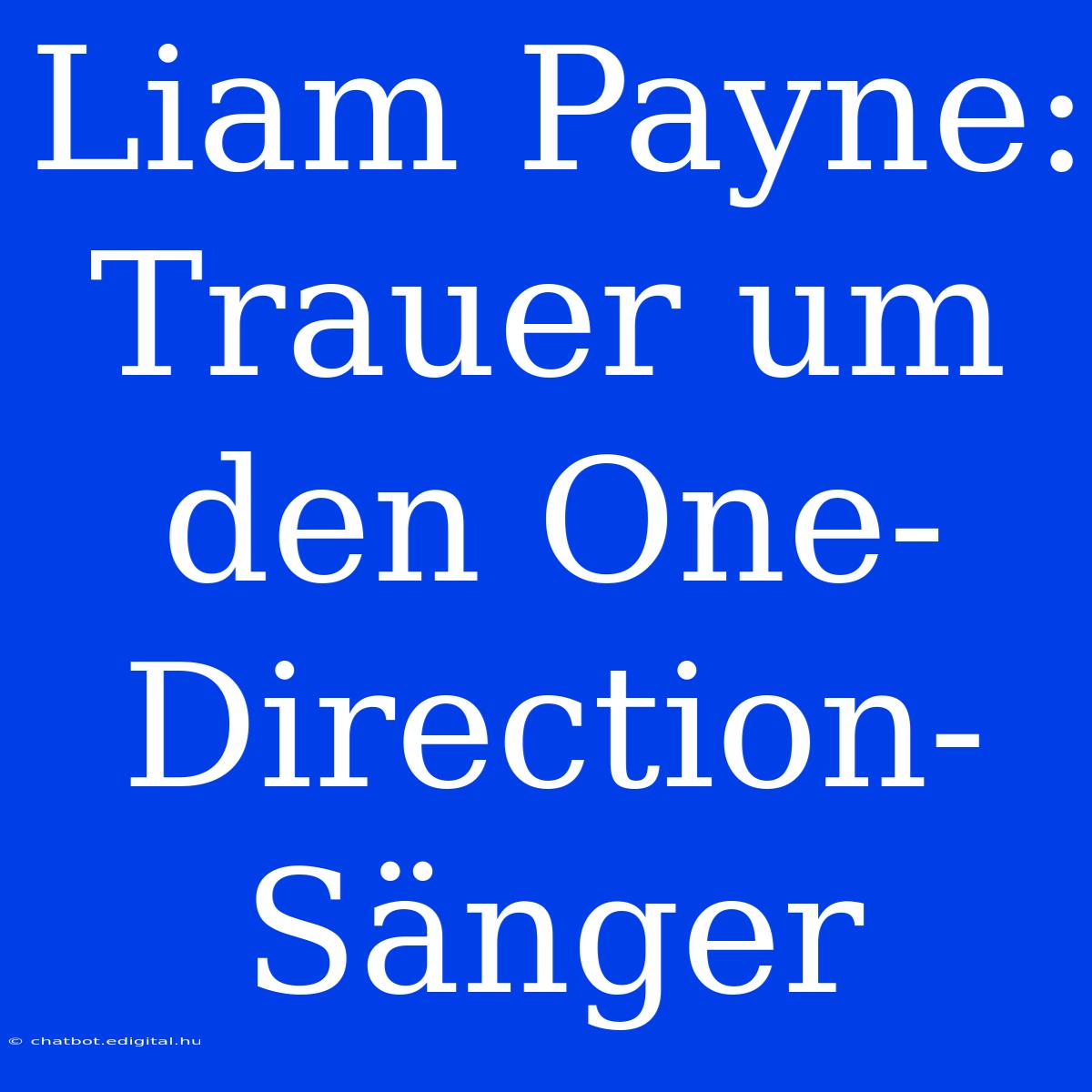 Liam Payne: Trauer Um Den One-Direction-Sänger