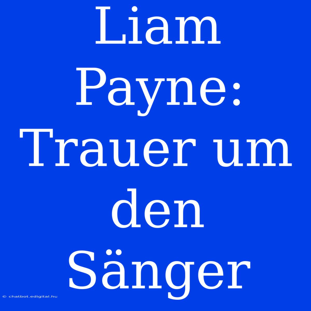 Liam Payne: Trauer Um Den Sänger