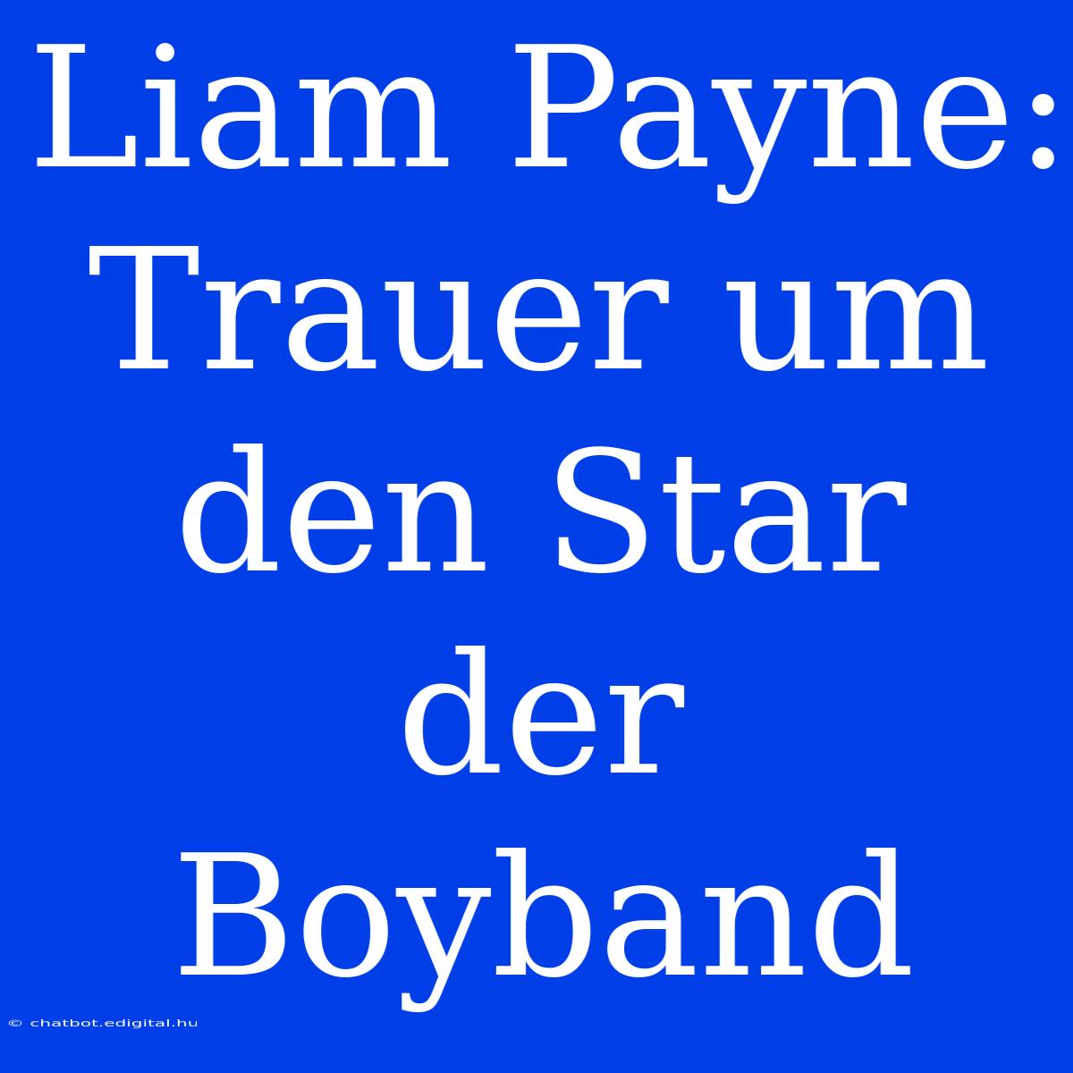 Liam Payne: Trauer Um Den Star Der Boyband