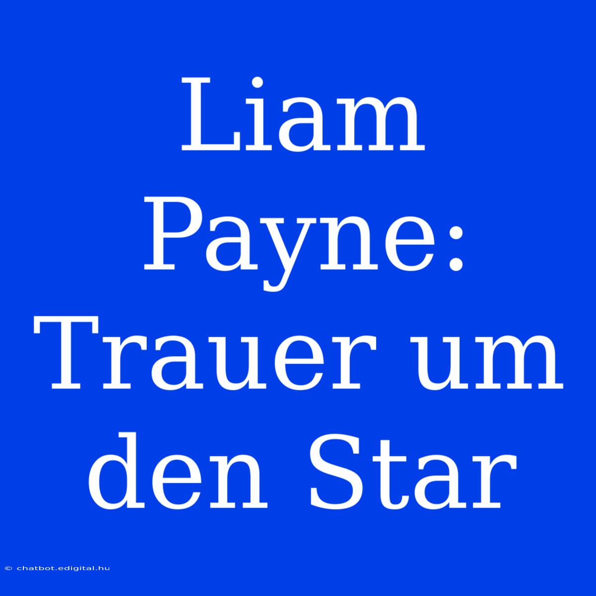 Liam Payne: Trauer Um Den Star 