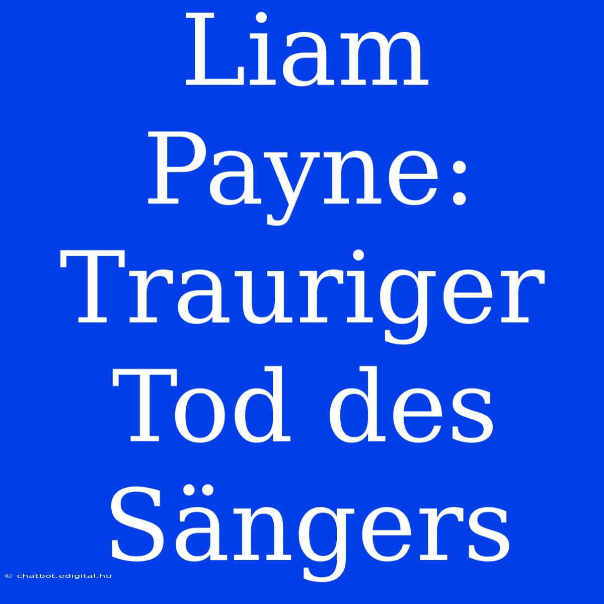 Liam Payne: Trauriger Tod Des Sängers