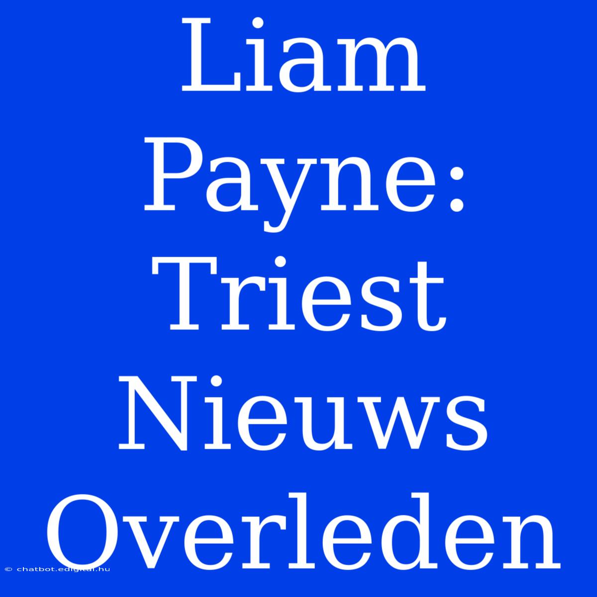 Liam Payne: Triest Nieuws Overleden