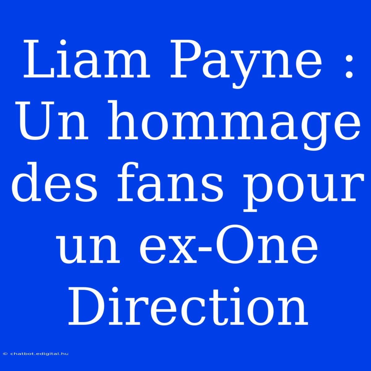 Liam Payne : Un Hommage Des Fans Pour Un Ex-One Direction