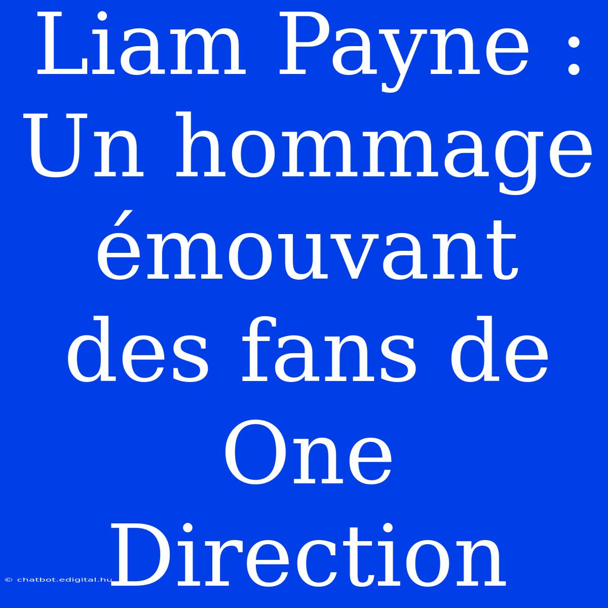 Liam Payne : Un Hommage Émouvant Des Fans De One Direction