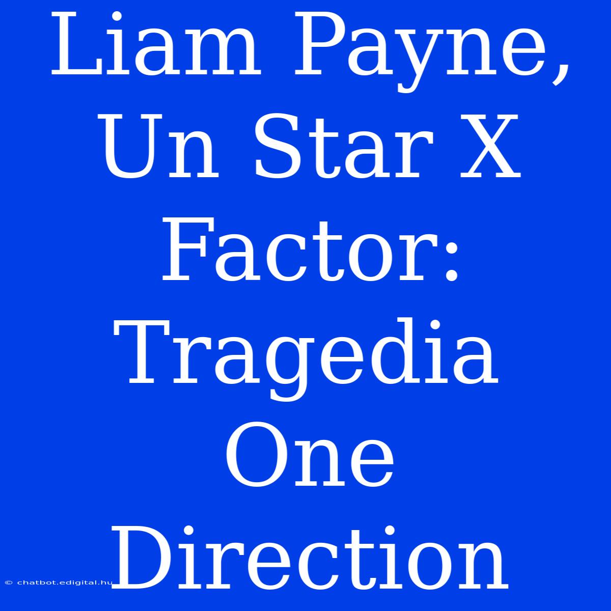 Liam Payne, Un Star X Factor: Tragedia One Direction