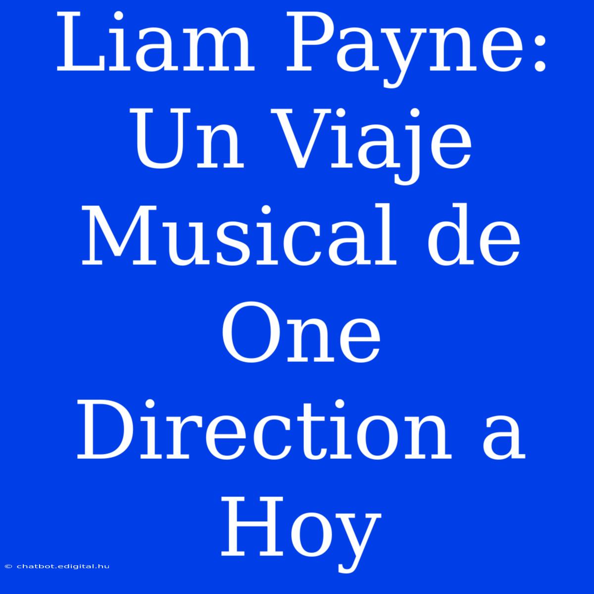 Liam Payne: Un Viaje Musical De One Direction A Hoy