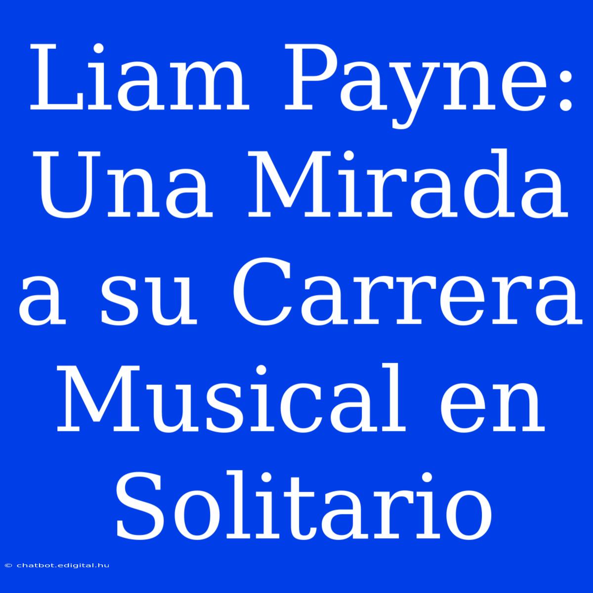 Liam Payne: Una Mirada A Su Carrera Musical En Solitario