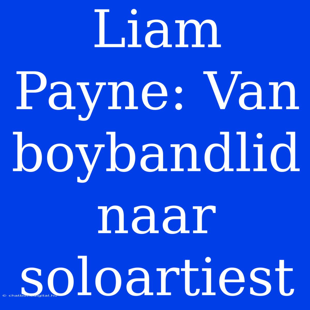 Liam Payne: Van Boybandlid Naar Soloartiest