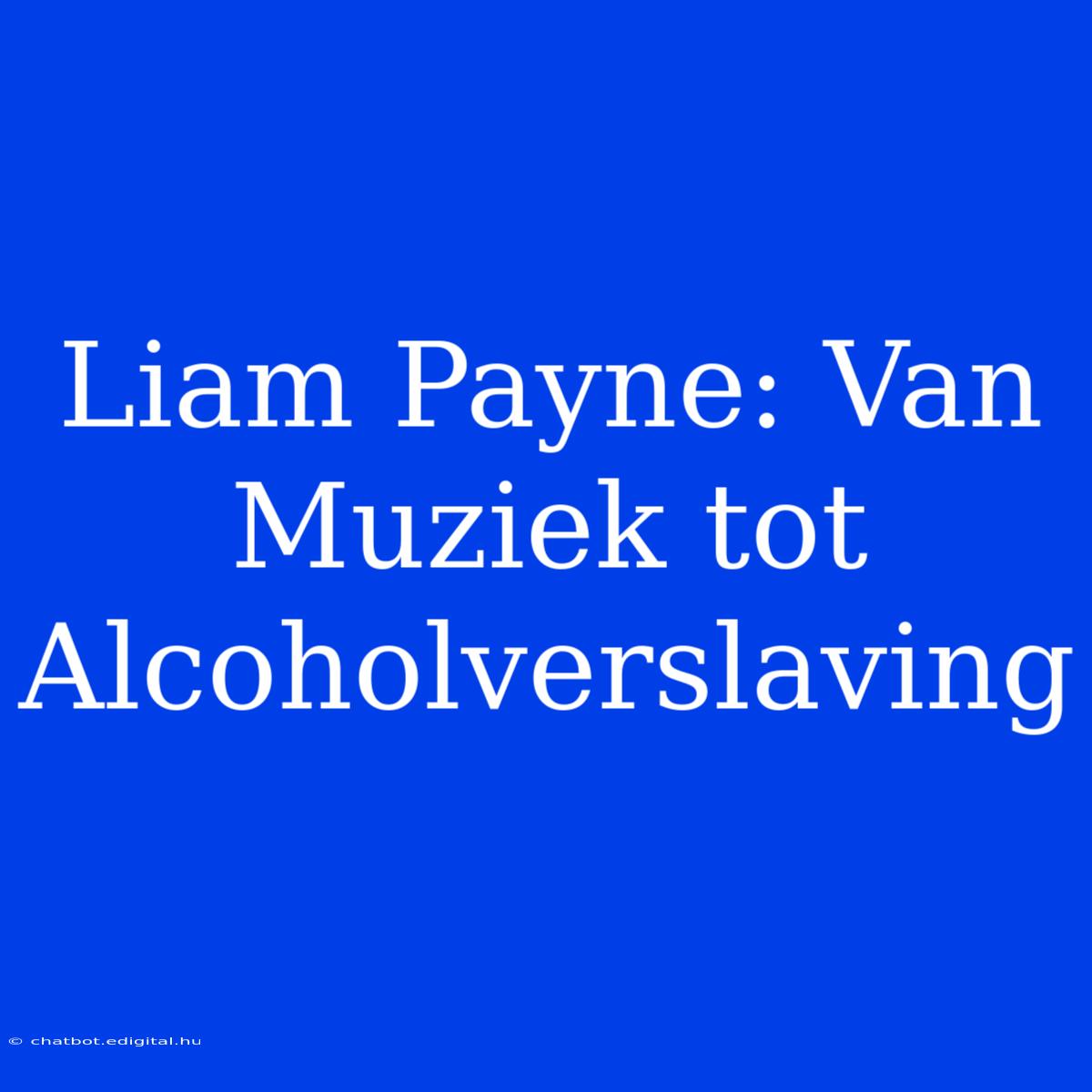 Liam Payne: Van Muziek Tot Alcoholverslaving