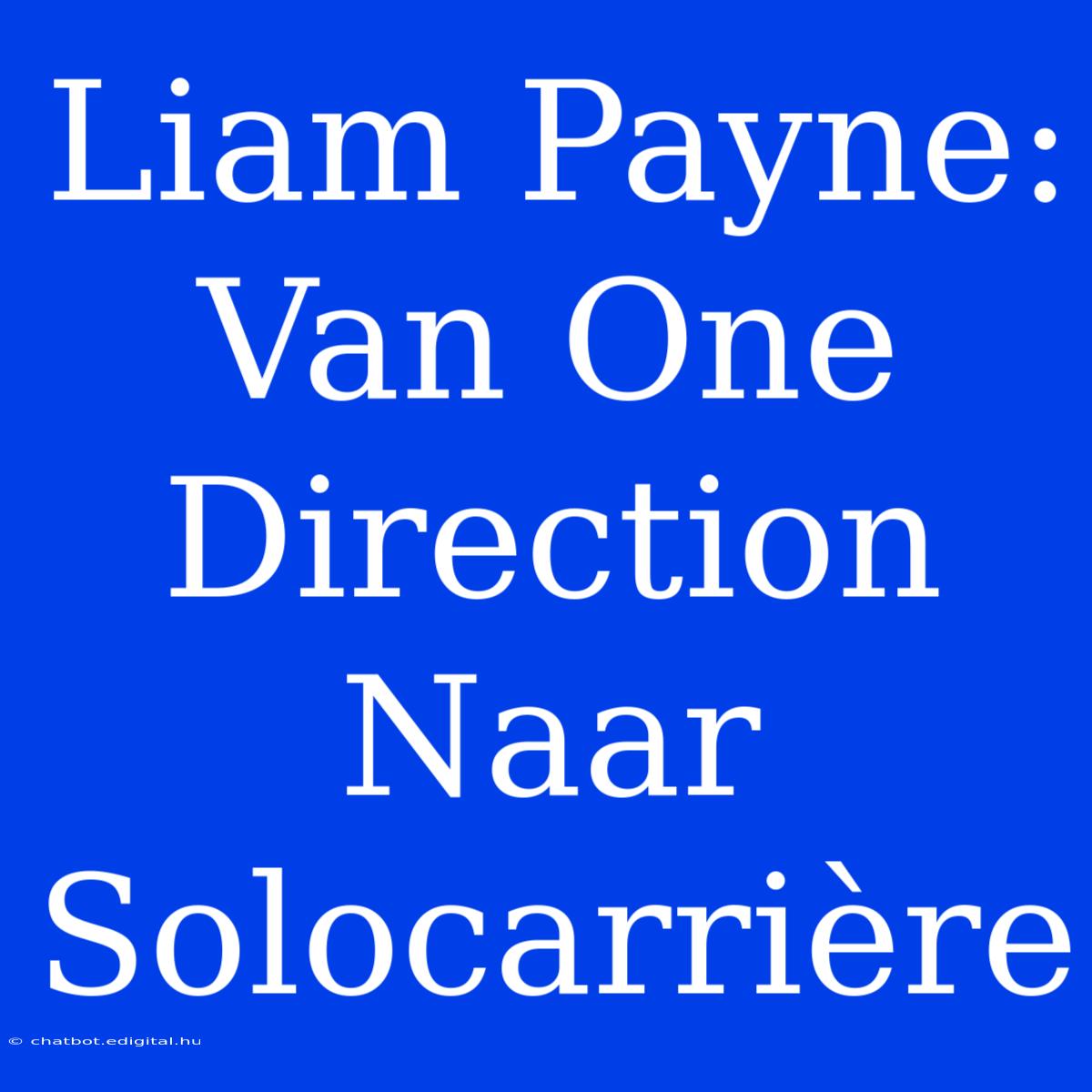 Liam Payne: Van One Direction Naar Solocarrière