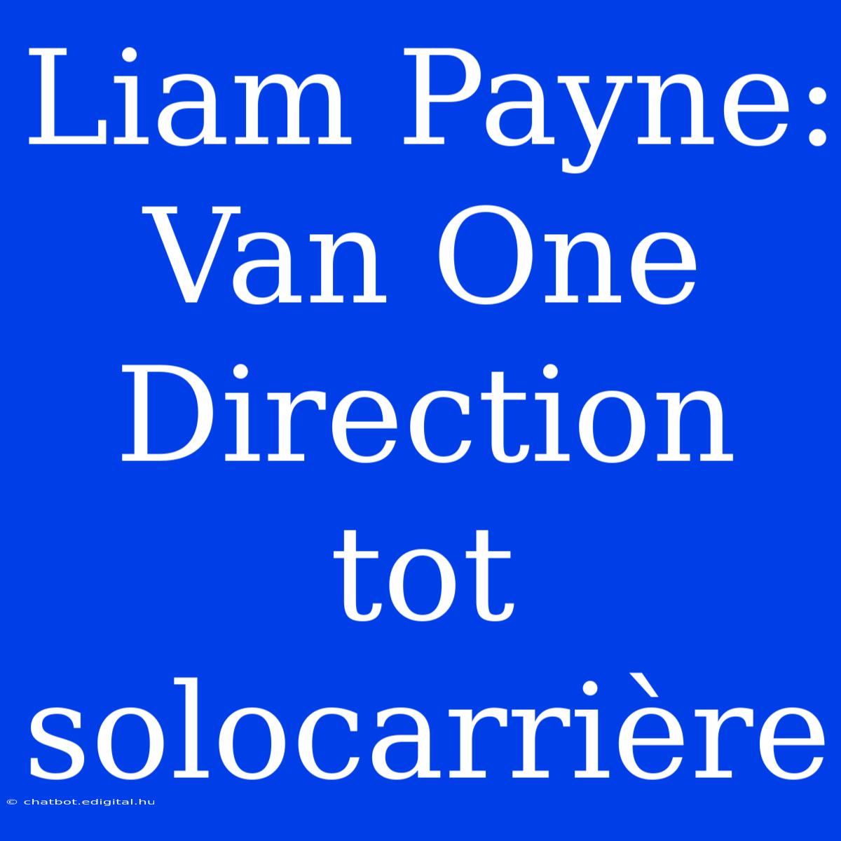 Liam Payne: Van One Direction Tot Solocarrière