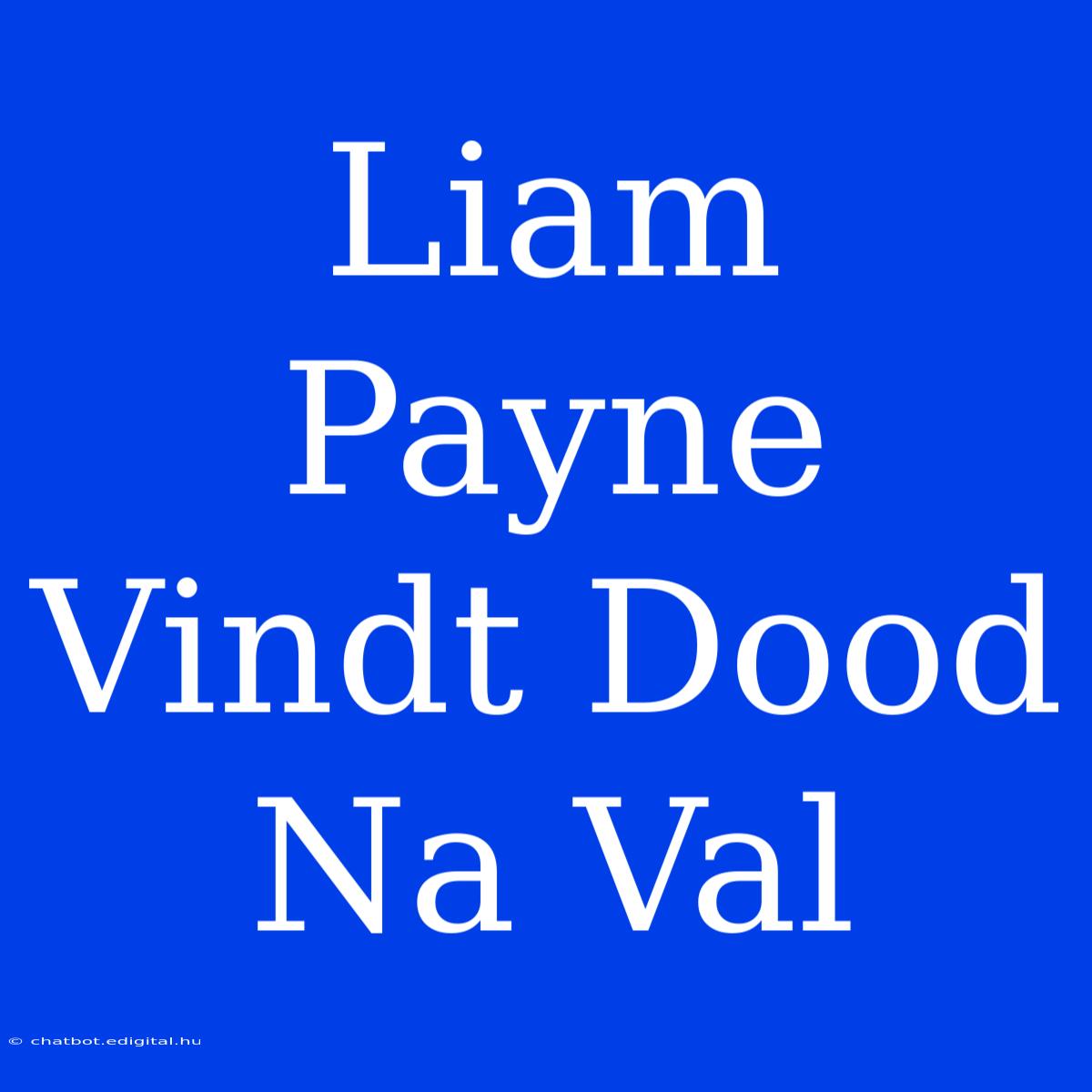 Liam Payne Vindt Dood Na Val