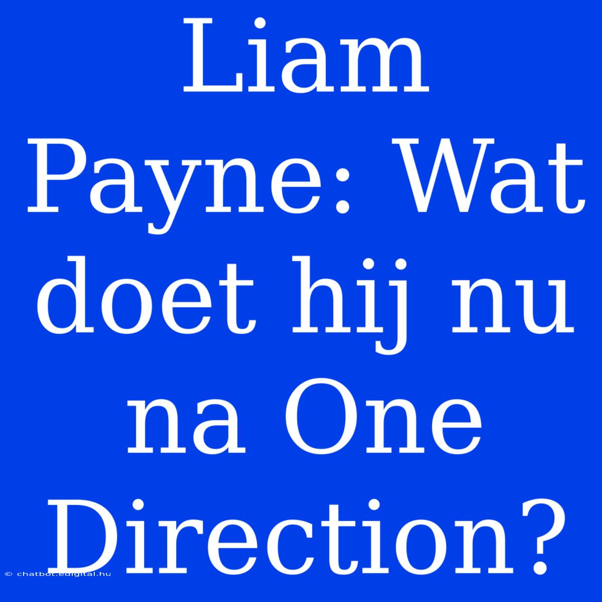 Liam Payne: Wat Doet Hij Nu Na One Direction?