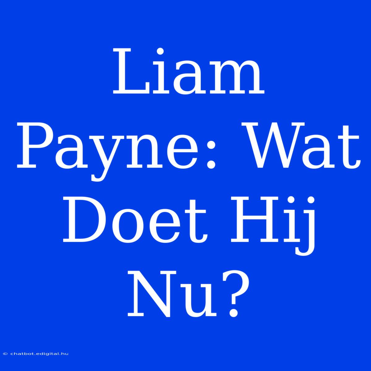 Liam Payne: Wat Doet Hij Nu?