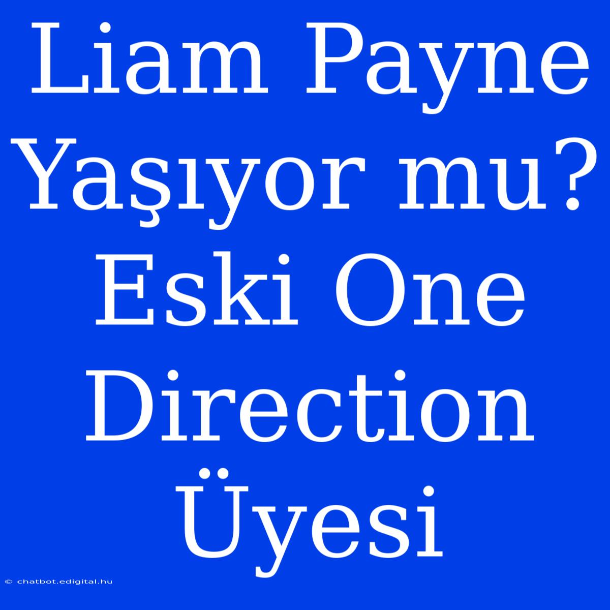 Liam Payne Yaşıyor Mu? Eski One Direction Üyesi