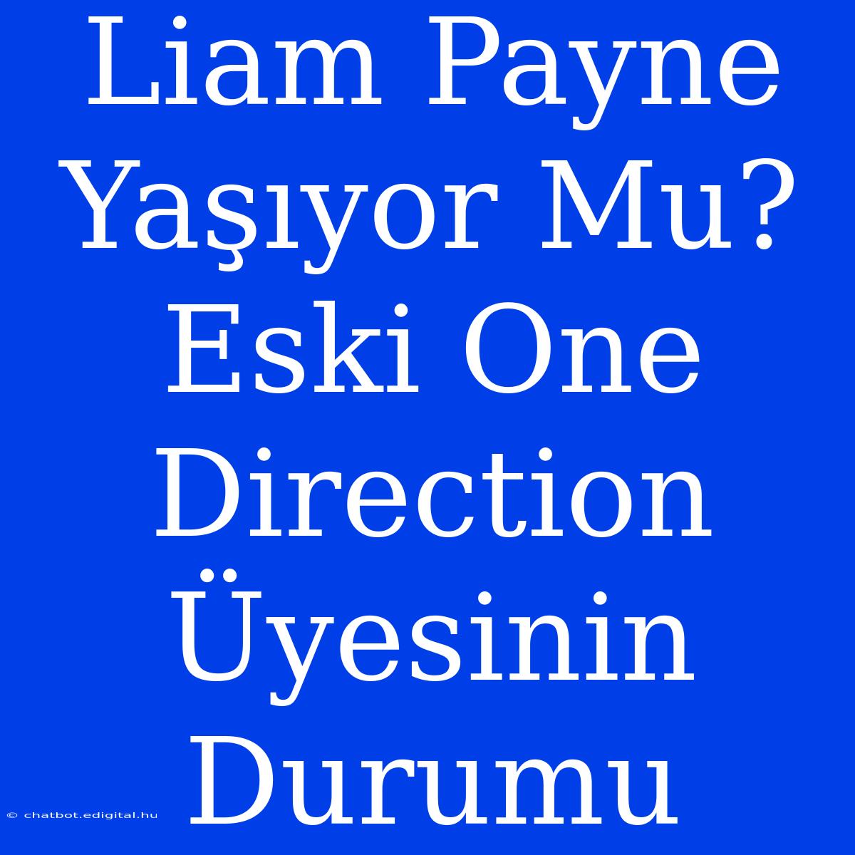 Liam Payne Yaşıyor Mu? Eski One Direction Üyesinin Durumu