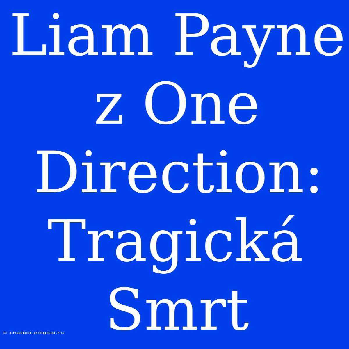 Liam Payne Z One Direction: Tragická Smrt 