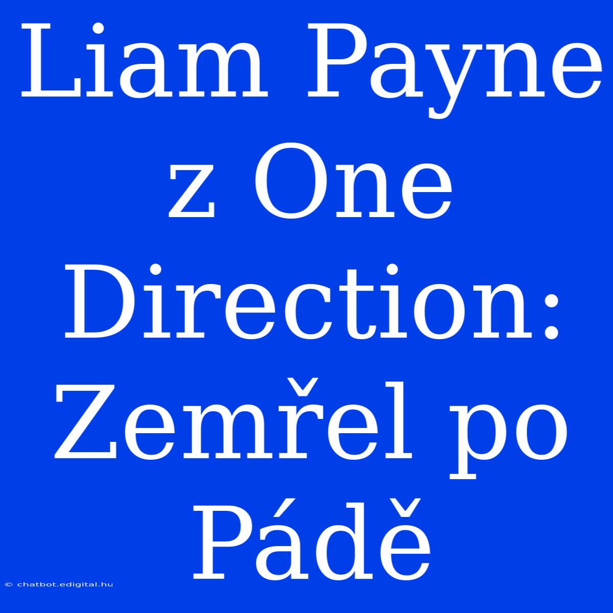 Liam Payne Z One Direction: Zemřel Po Pádě