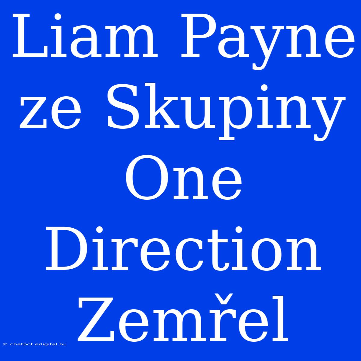 Liam Payne Ze Skupiny One Direction Zemřel