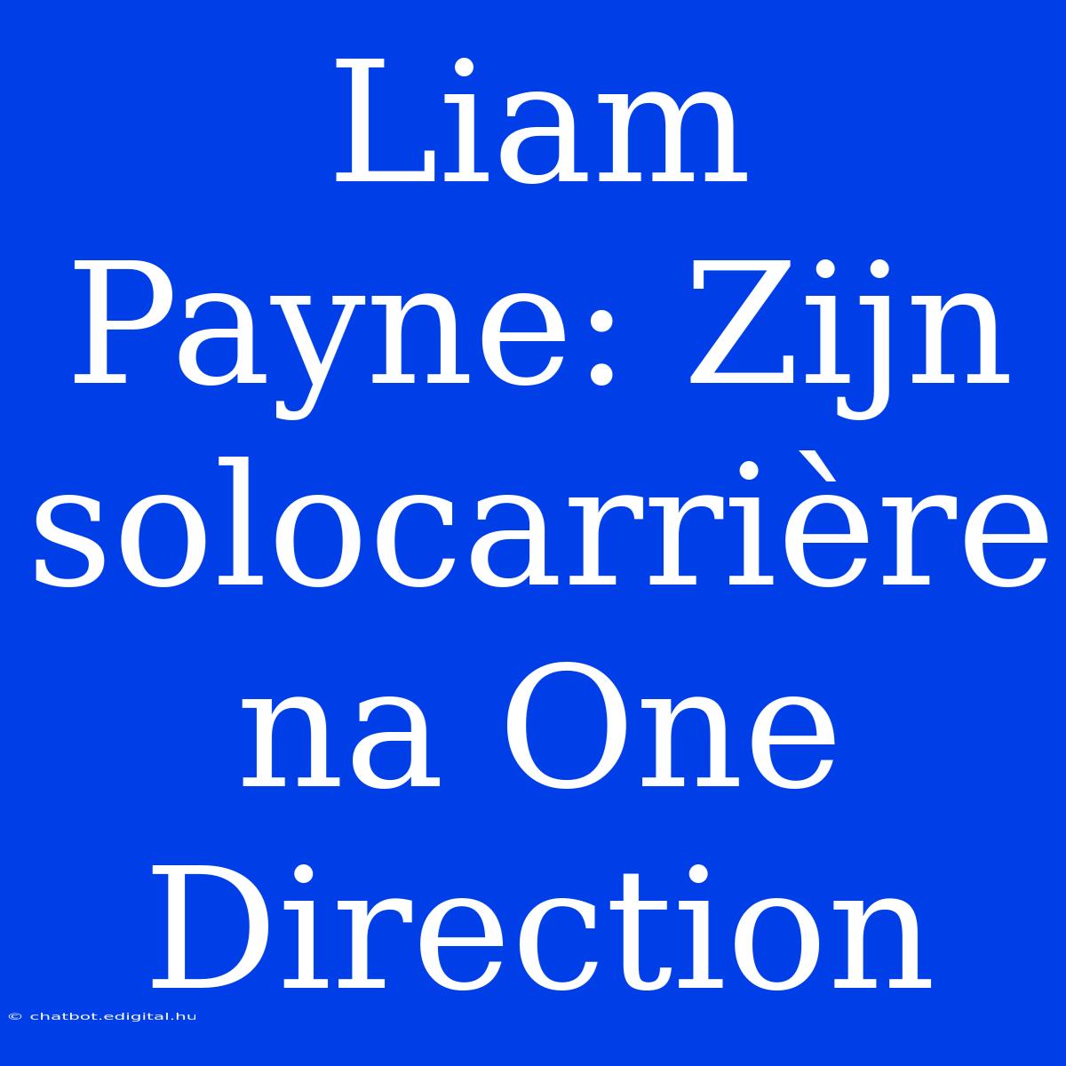 Liam Payne: Zijn Solocarrière Na One Direction