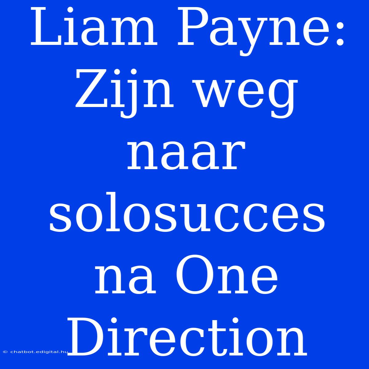 Liam Payne: Zijn Weg Naar Solosucces Na One Direction 