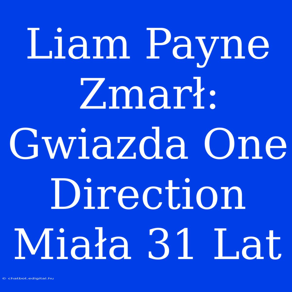 Liam Payne Zmarł: Gwiazda One Direction Miała 31 Lat