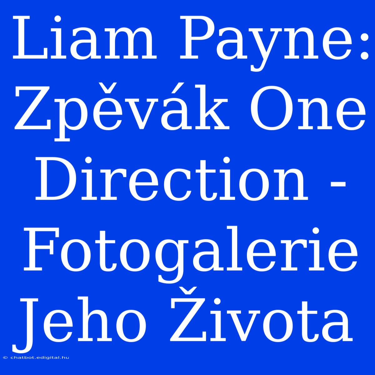 Liam Payne: Zpěvák One Direction - Fotogalerie Jeho Života 