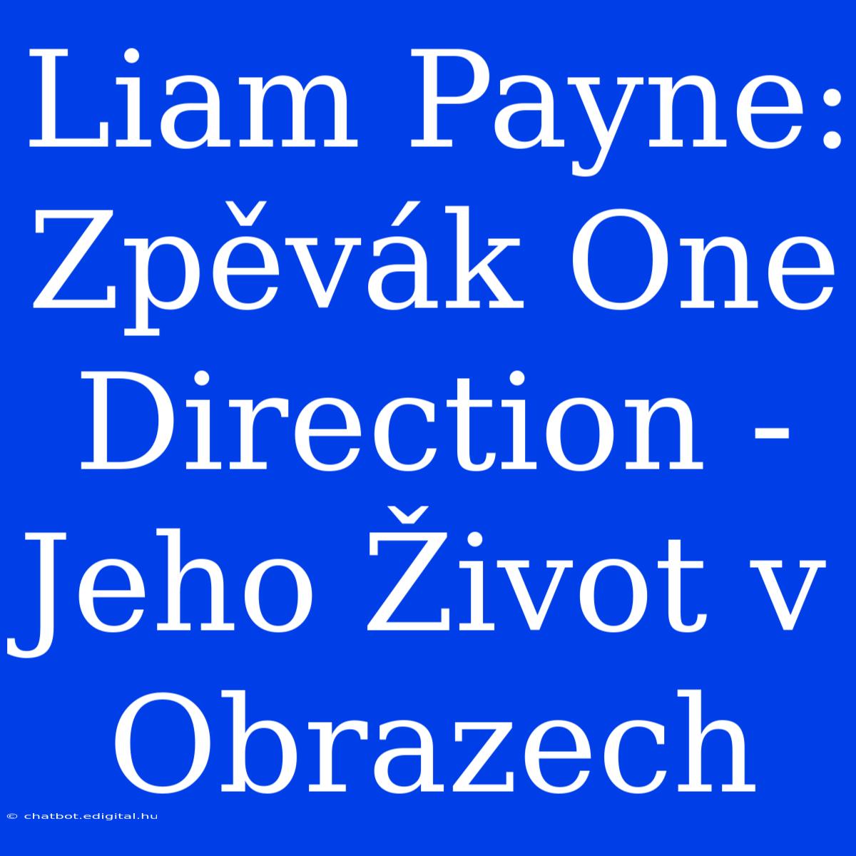 Liam Payne: Zpěvák One Direction - Jeho Život V Obrazech