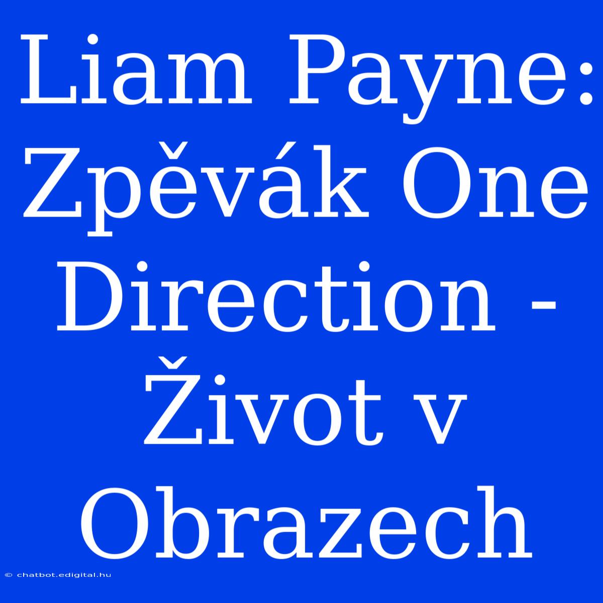 Liam Payne: Zpěvák One Direction - Život V Obrazech