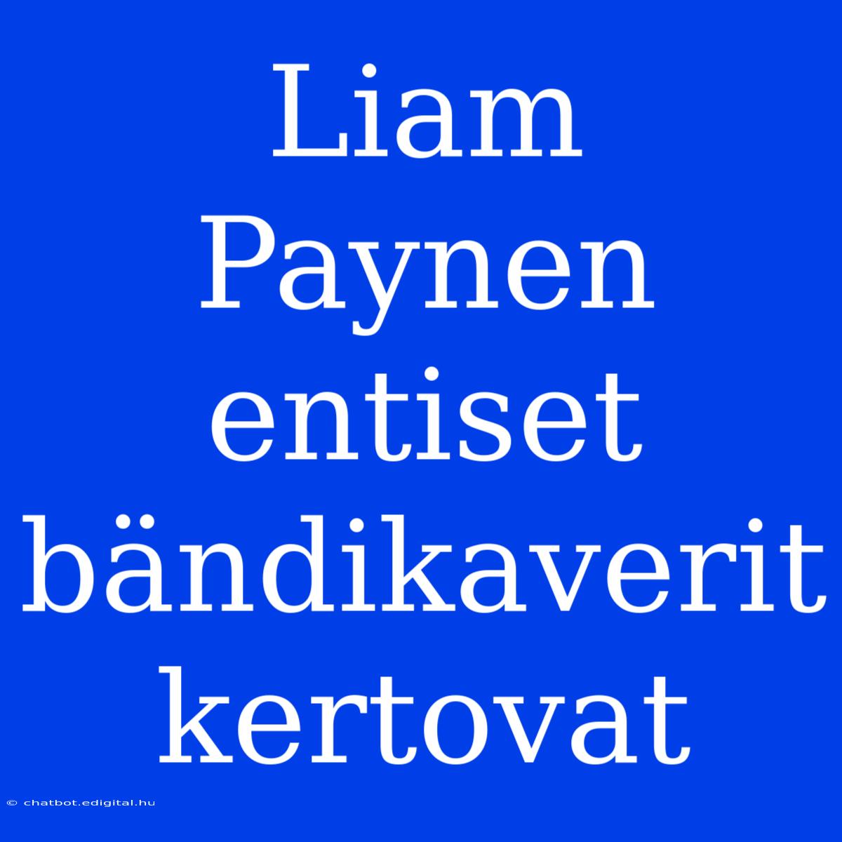 Liam Paynen Entiset Bändikaverit Kertovat