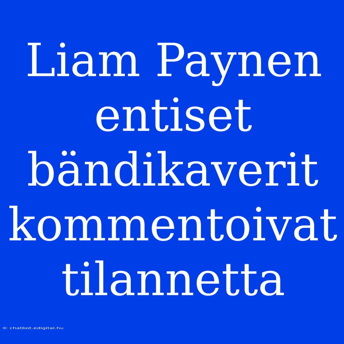 Liam Paynen Entiset Bändikaverit Kommentoivat Tilannetta