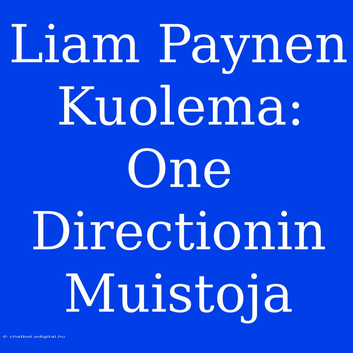 Liam Paynen Kuolema: One Directionin Muistoja