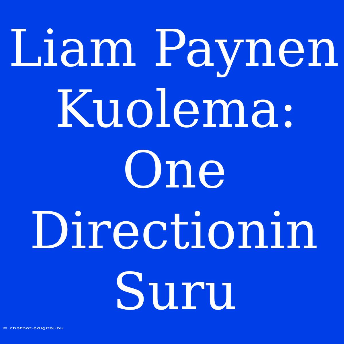 Liam Paynen Kuolema: One Directionin Suru