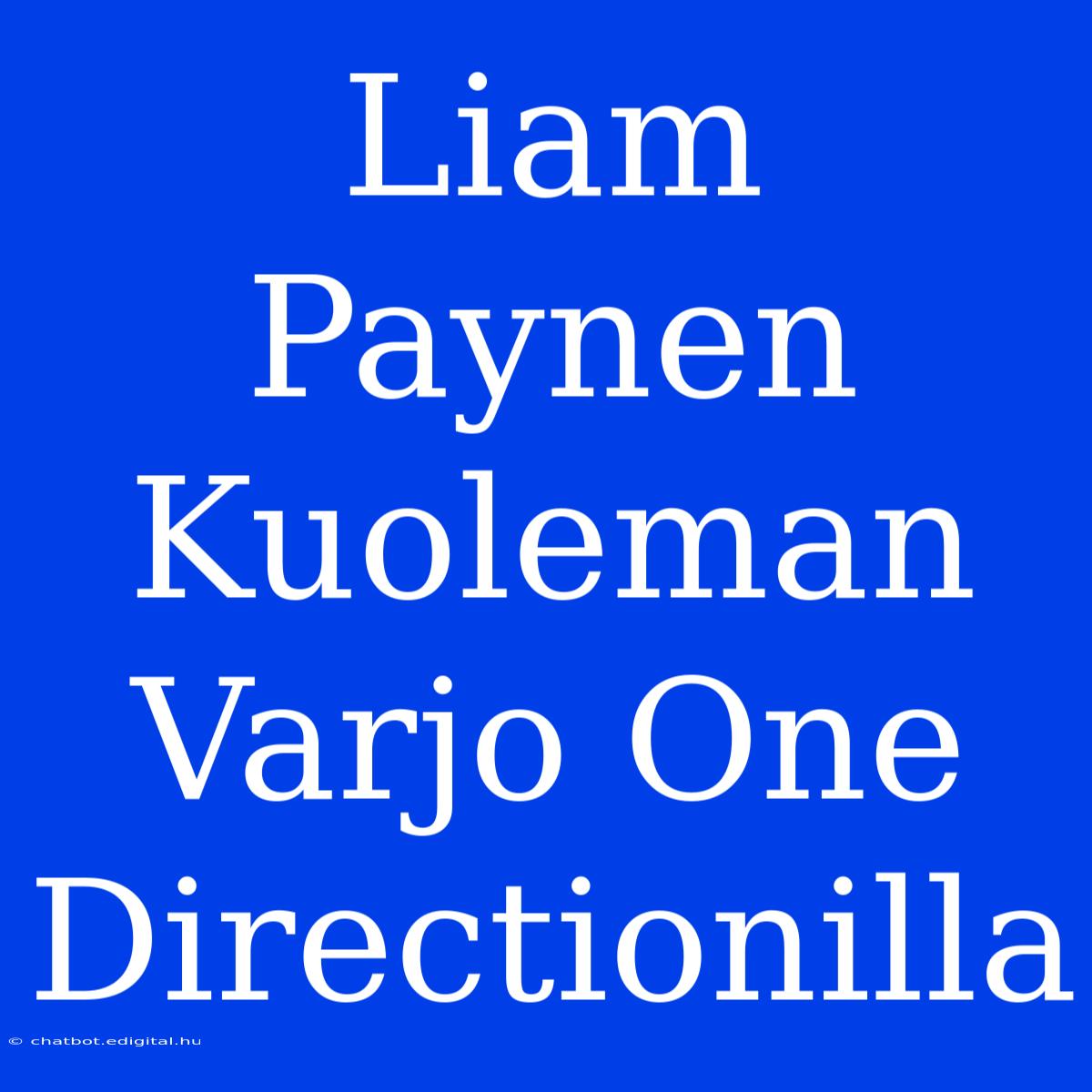 Liam Paynen Kuoleman Varjo One Directionilla