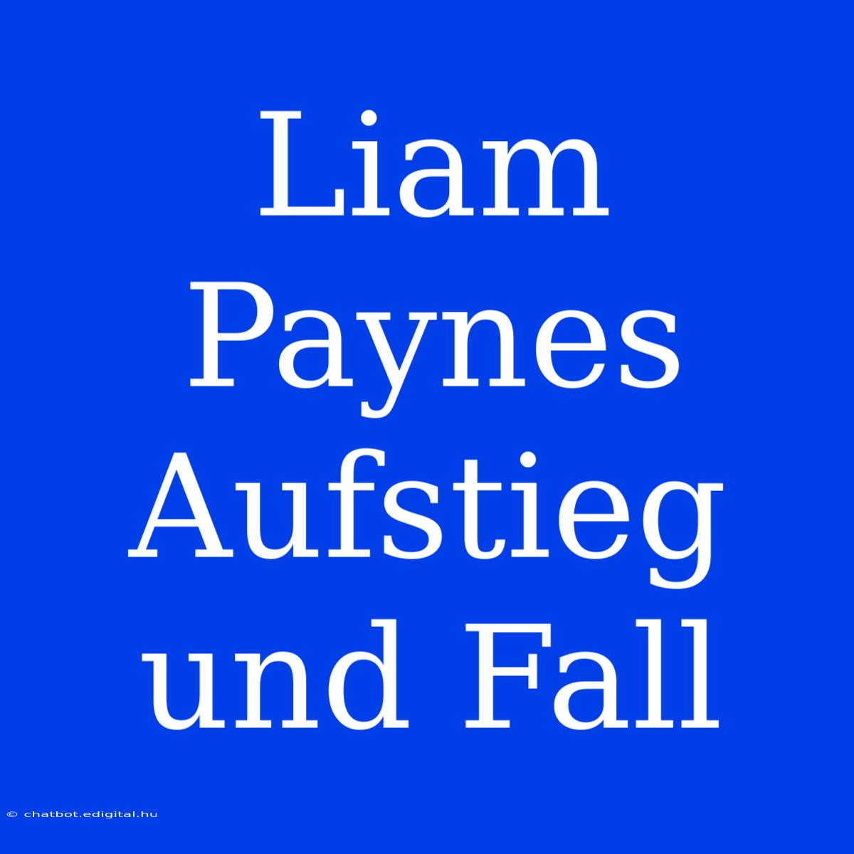 Liam Paynes Aufstieg Und Fall