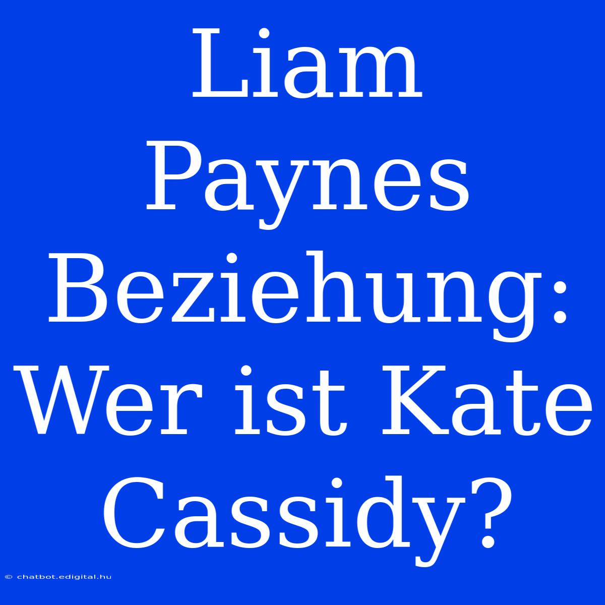 Liam Paynes Beziehung: Wer Ist Kate Cassidy?