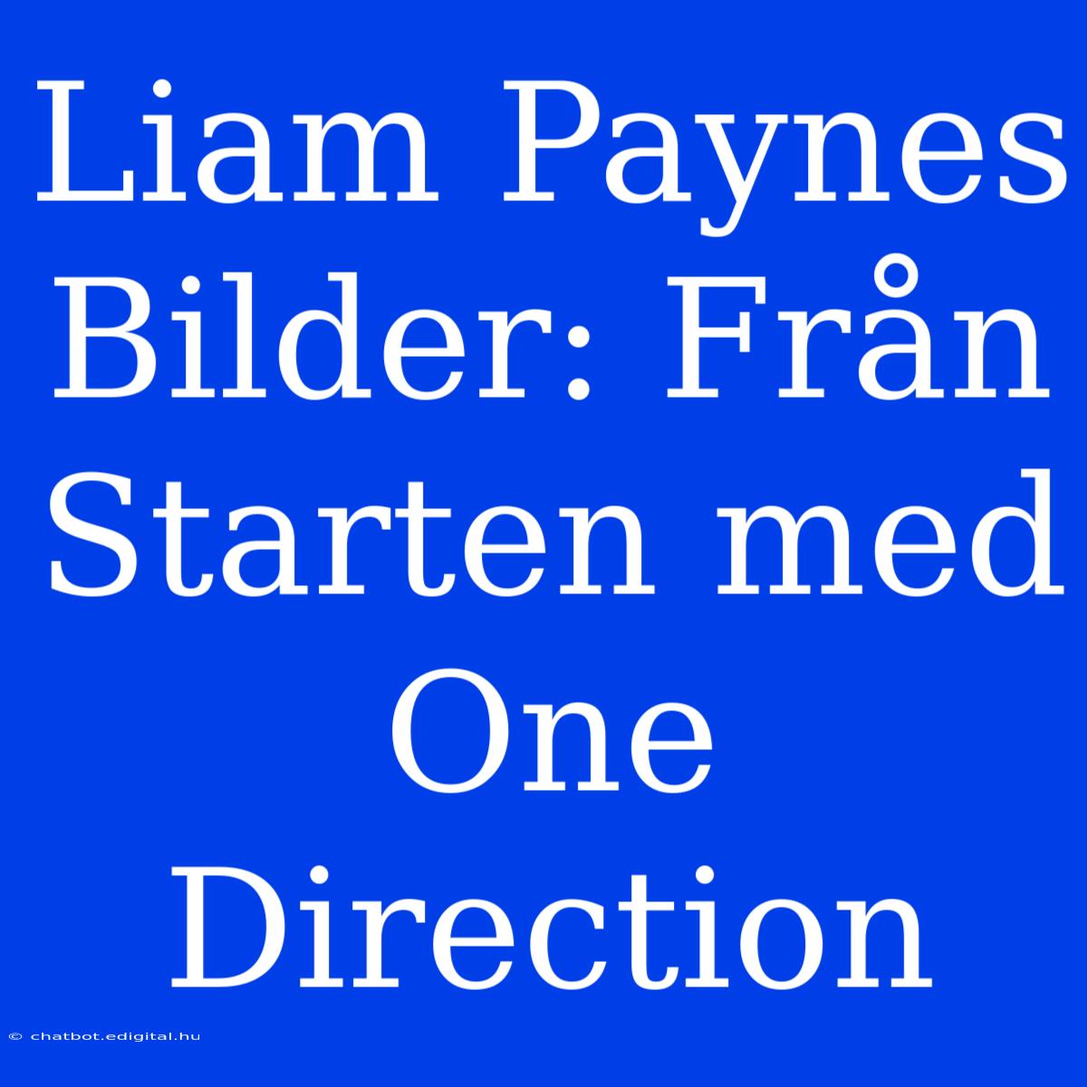 Liam Paynes Bilder: Från Starten Med One Direction