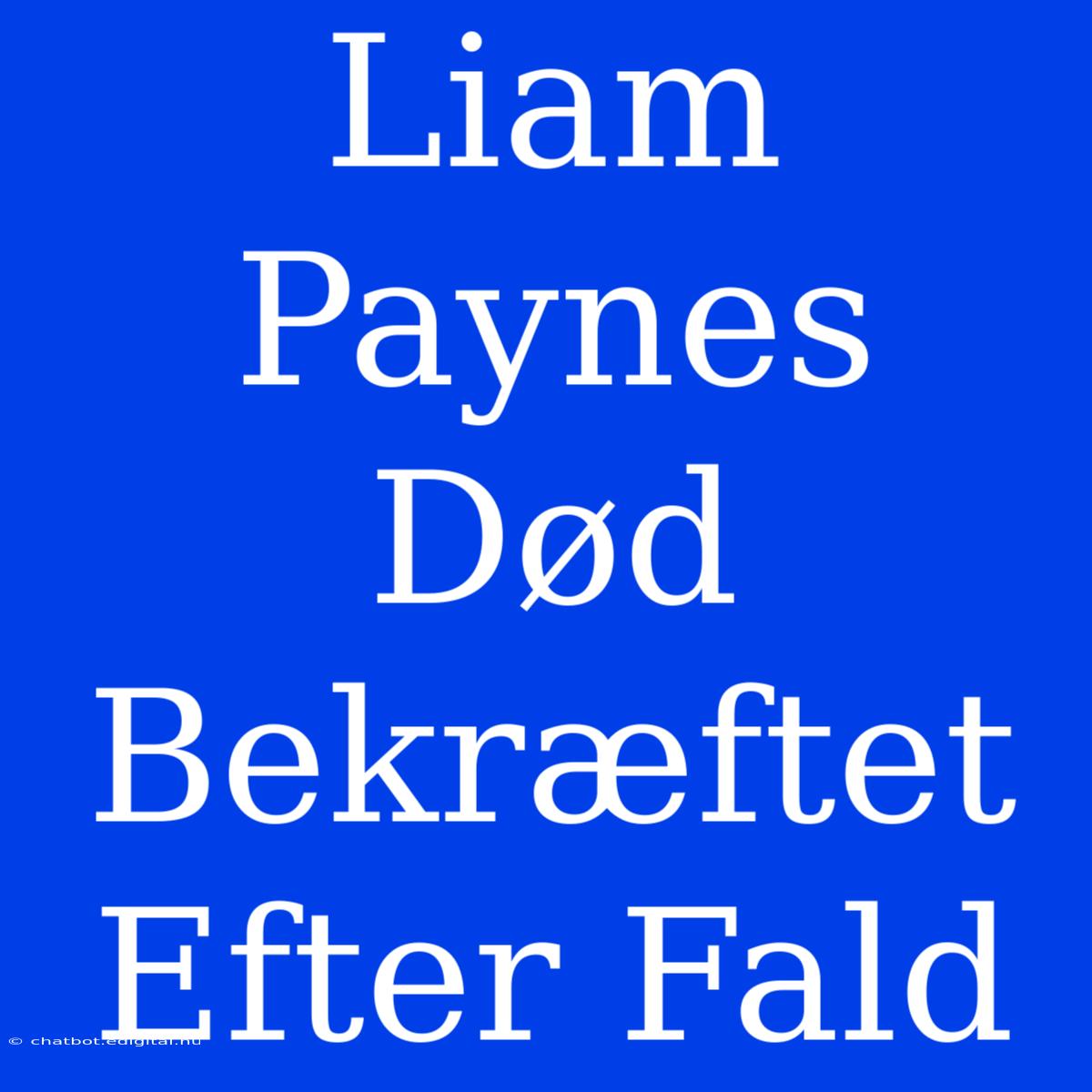 Liam Paynes Død Bekræftet Efter Fald